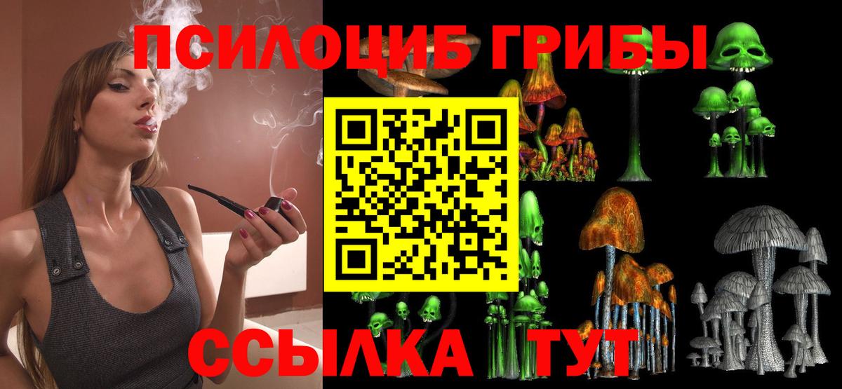 Псилоцибиновые грибы ЛСД  Вход с VPN  Псилоцибиновые грибы GOLDEN TEACHER  Унеча 